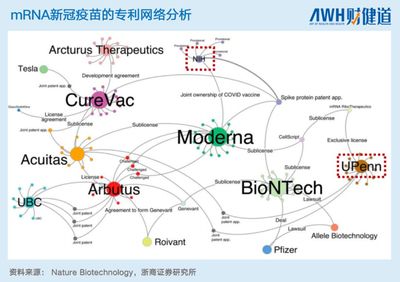 中國本土mRNA技術 差距、突破與未來之路